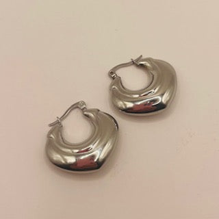 Earrings Silver