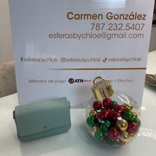 CARTERA PAOLA ACUÑA COLOR AZUL CLARO